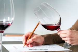 Extreme close up of sommelier evaluating red wine in wine glass at tasting.