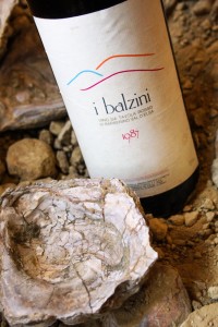 1987 balzini 2