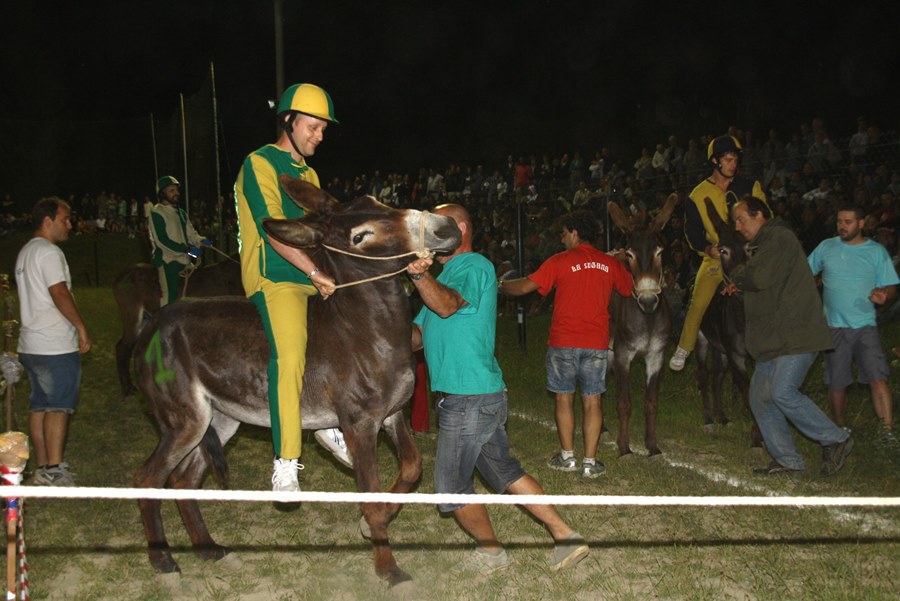 30paliodeciuchicerbaia21.06.2015_09