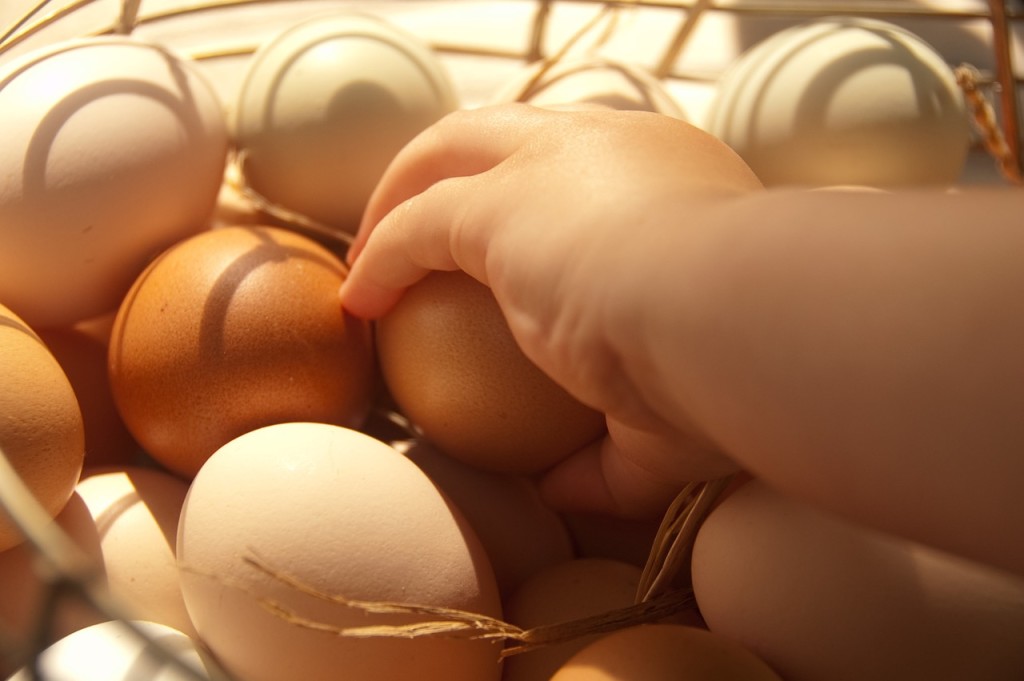 eggs-2047098_1280