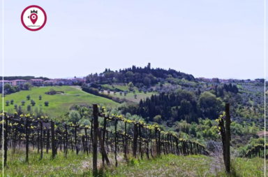 Veduta Chianti