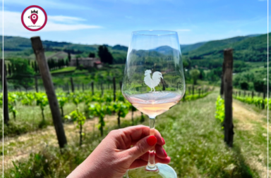 Vino al Vino in Cantina Panzano3