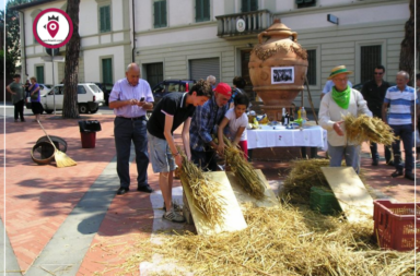 Dalla Spiga al Piatto Strada in Chianti