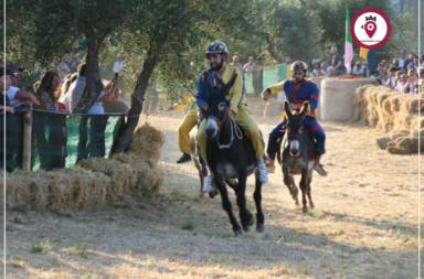 Palio San Donato