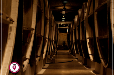 Vino Cantina2
