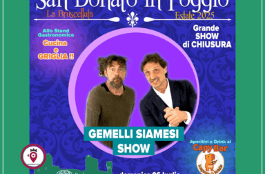 Gemelli Siamesi ShowOK