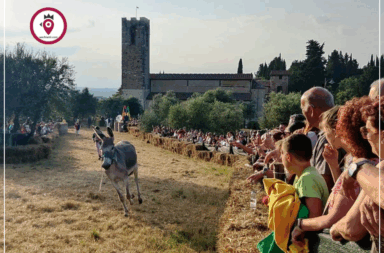 Palio e Corteo Storico San Donato