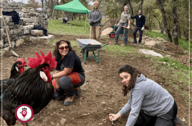 Scavi e Gallo Nero Castellare di Collepetroso