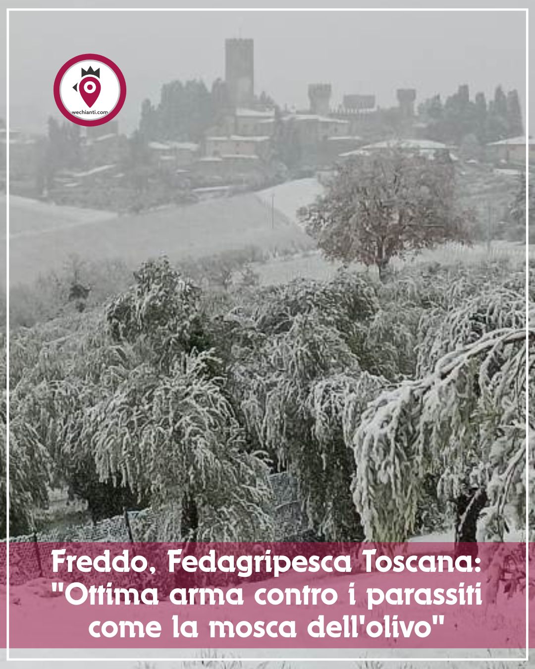 Foto di Alessio Tossici su www.gazzettinodelchianti.it