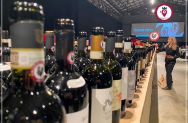 Chianti Classico Collection 2026_1