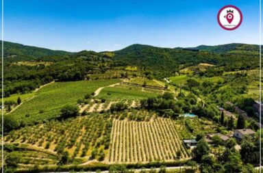 Greve in Chianti campagna