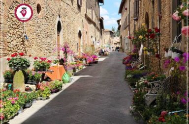 Barberino-in-Fiore_2026_4